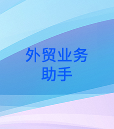 领航未来，外贸智能助手 精准对接跨境商机